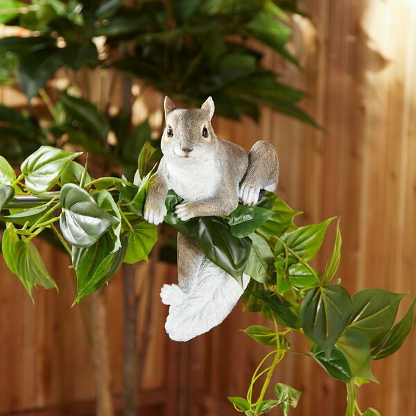 Accent Plus Climbing Cuties - Chip the Squirrel